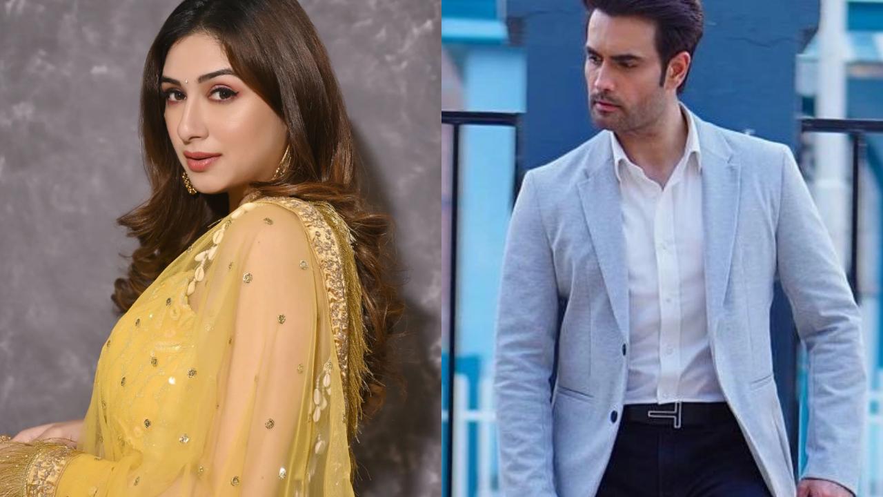Vivian Dsena and Vahbiz Dorabjee got married in January 2013 after meeting on the sets of the TV show 'Pyaar Kii Ye Ek Kahaani'. However, after a few years of marriage, Vivian and Vahbiz faced compatibility issues and differences that led to problems in their relationship